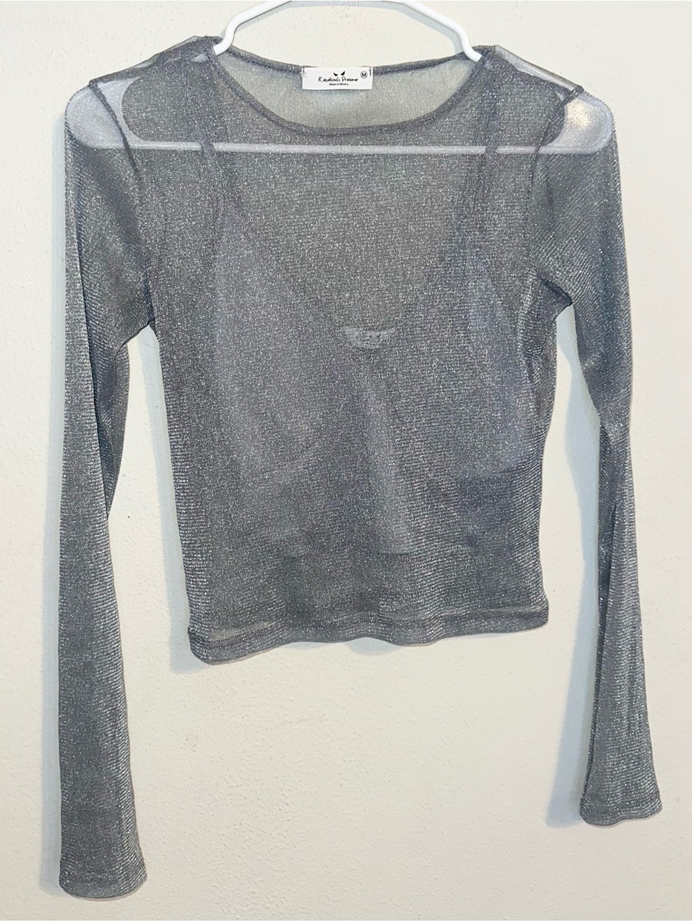 Rebellious Dreamer Silver Sheer Metallic Long Sleeve Mesh Top